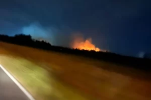 Incêndio atinge vegetação em Balneário Rincão