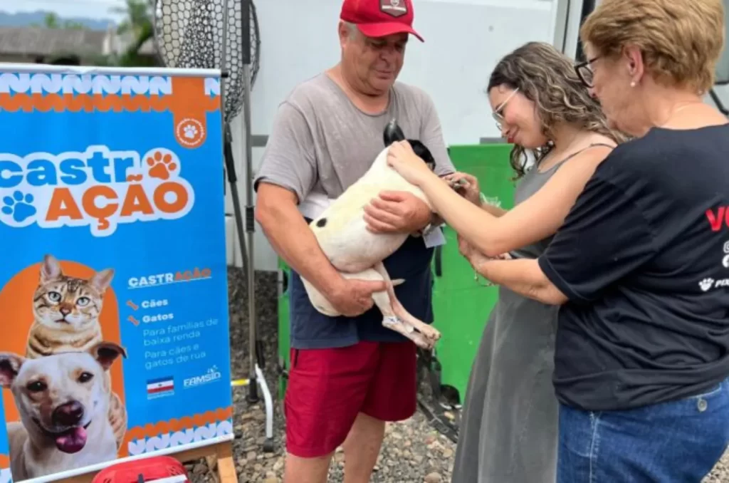 Mutirão de castração de animais em Siderópolis