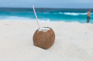 Por que incluir água de coco na sua dieta diária?
