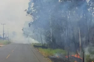 Rodovia é fechada para combate à incêndio em Balneário Rincão