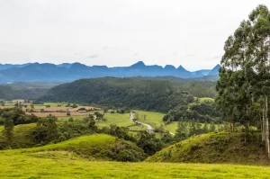 Santa Catarina: 83 cidades devem ratificar imóveis rurais