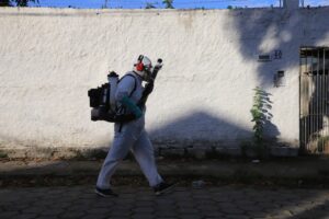 Bairro turístico de Florianópolis recebe aplicação de inseticida contra dengue