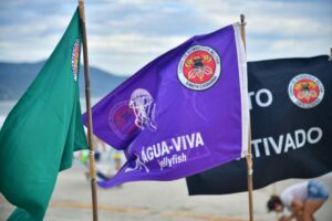 Bombeiros registram 2.849 ocorrências envolvendo águas-vivas