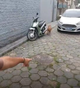 Morador de São José pede solução para esgoto t