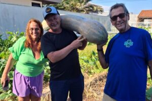Agricultor do Rincão surpreende com abóbora gigante de 24 quilos