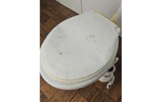 Investigado por praticar abuso sexual contra animais é preso em Arroio do Silva