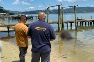 Corpo de vaca decapitada é encontrado em lagoa de Imbituba