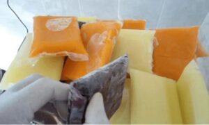 Vigilância sanitária fiscaliza qualidade dos alimentos no litoral de SC 