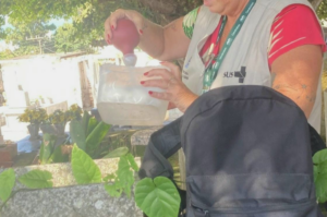 Laguna registra primeiro foco do mosquito da dengue em 2025