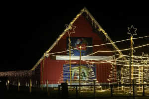 Luzes de Natal: conheça os vencedores de Tubarão