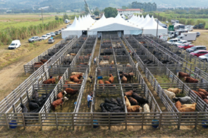 Feira Agropecuária de Tubarão pode trocar de lugar