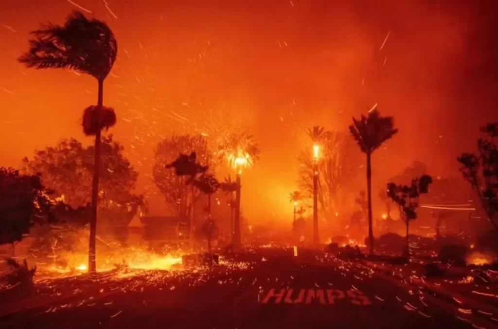 ‘É como se o Centro de Criciúma fosse destruído’, diz criciumense sobre incêndio em L.A 1