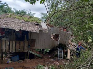 Árvore cai sobre casa em Florianópolis