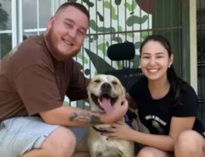 Cão que permaneceu ao lado do tutor morto é adotado