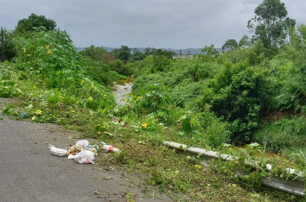 Equipes realizam limpeza nas margens dos rios em Criciúma para prevenir enchentes e garantir o fluxo adequado da água