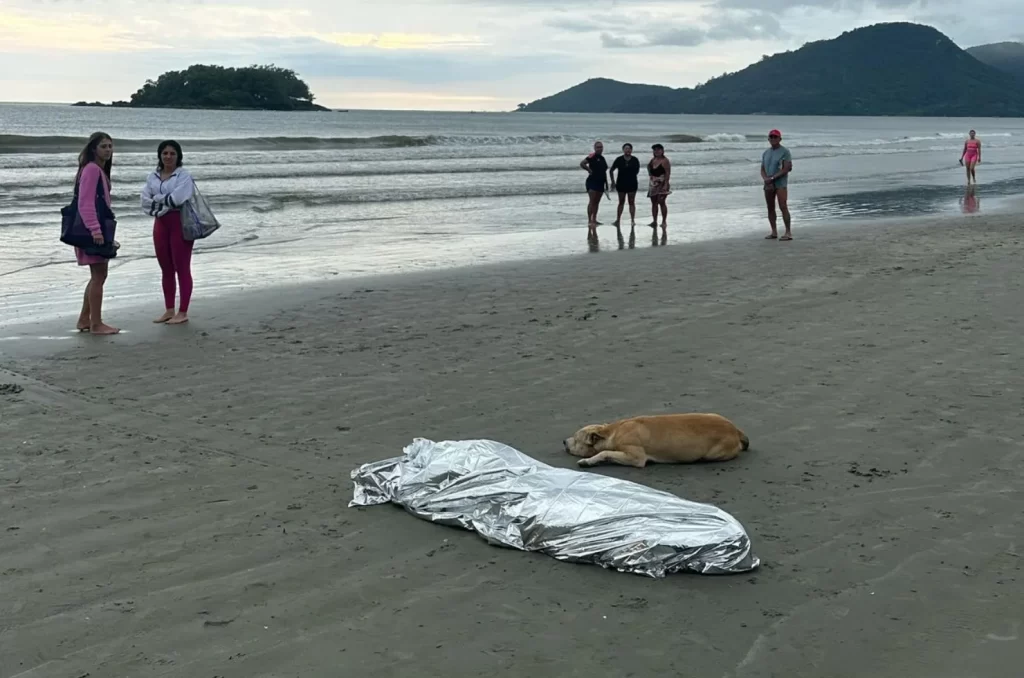 Corpo encontrado na praia de BC