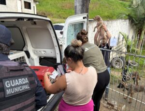 Vídeo: INIS fecha canil clandestino em Itajaí