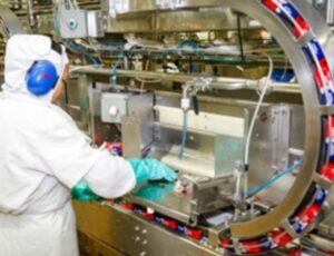 Nauterra terá feirão de emprego em Itajaí