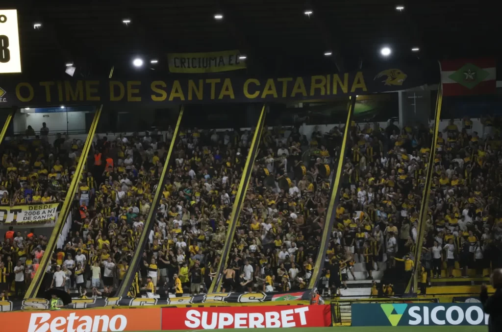 Torcida organizada Os Tigres, durante partida do Criciúma