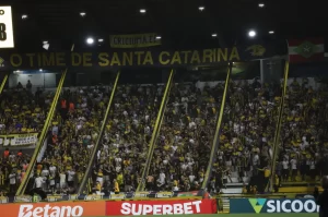 Os Tigres farão reunião com a diretoria do Criciúma