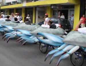 Siritopeia desfila no Carnaval de Itajaí