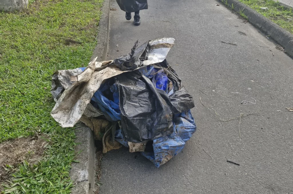 Voluntários participam do mutirão de limpeza no Rio Tubarão, promovido pela prefeitura, recolhendo lixo e revitalizando as margens