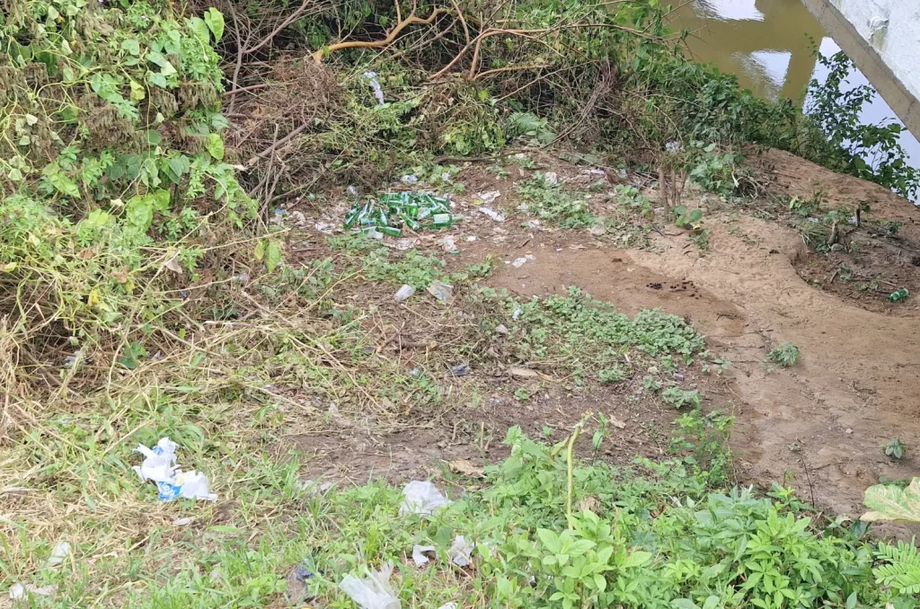 Voluntários participam do mutirão de limpeza no Rio Tubarão, promovido pela prefeitura, recolhendo lixo e revitalizando as margens