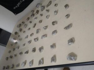 Homem é preso com 666,7g de maconha em Blumenau