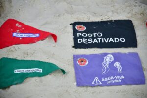 Casos de água-viva disparam no litoral catarinense
