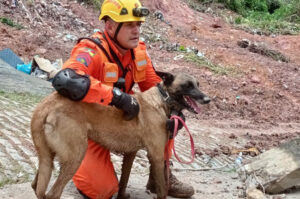 Aprovada política de resgate de animais em desastres