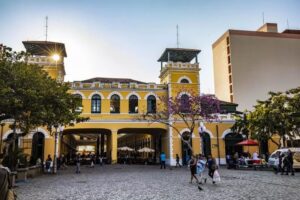 MP dá 40 dias para soluções no Mercado Público