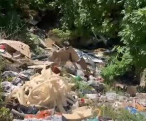 Moradores de SJ pedem solução para lotes abandonados