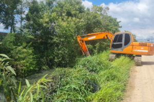 Valas de Tubarão passam por trabalho de limpeza