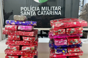 PM apreende quase 30 kg de drogas