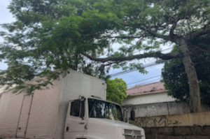 Caminhão arrebenta galho e passa raspando em fios
