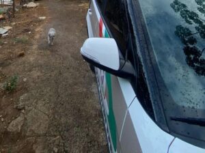 Polícia apreende drogas após fuga em Florianópolis