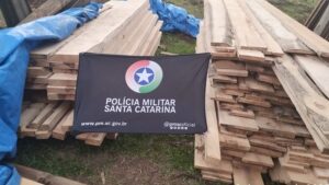 PMSC apreende madeira nativa extraída ilegalmente