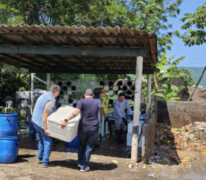 Fiscalização apreende 160kg de pescado irregular