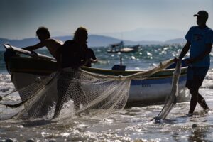 SC busca reverter cotas de pesca no STF
