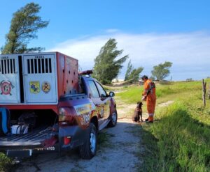 Idoso reaparece após mobilizar equipes de resgate