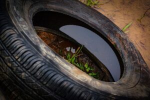 Campanha de pneus em SC combate dengue e poluição
