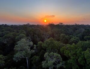 Multas por crime ambiental são imprescritíveis