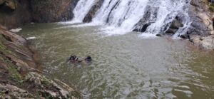 Homem morre após cair de cachoeira em Águas Mornas