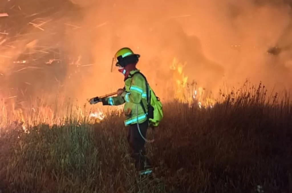 Ilustração de uma ocorrência sendo atendida pelos bombeiros voluntários de Balneário Rincão