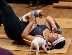 Balneário Shopping inova com Puppy Yoga