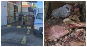 Carnes e alimentos estragados são apreendidos em Itajaí