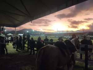 Rodeio Internacional movimenta São José em abril