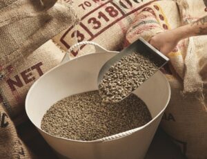 Alta nos preços de insumos eleva custos de alimentos
