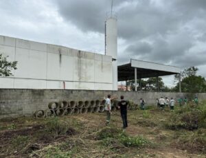 Escola tem aulas suspensas por infestação de escorpiões