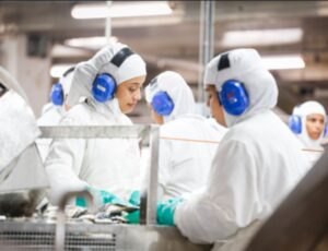 Nauterra oferece 200 vagas de emprego em Itajaí